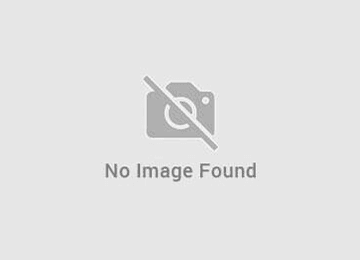 undefined undefined