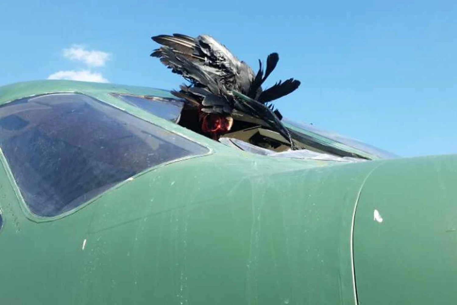 Avião da FAB colide com pássaro