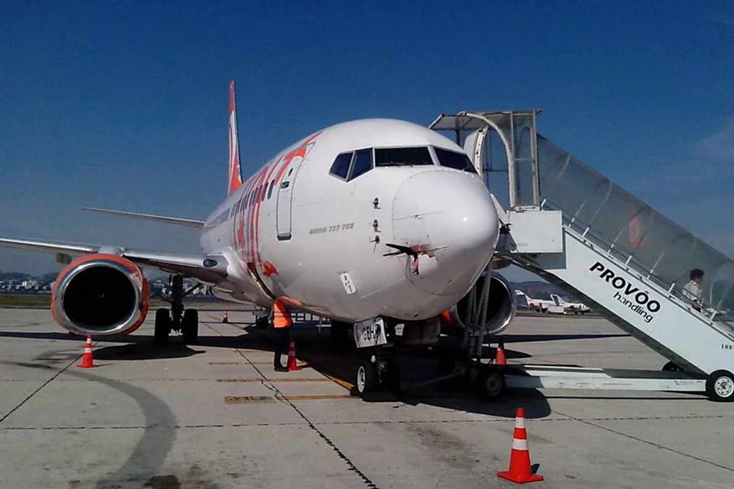 CENIPA lança aplicativo para registro de “birdstrike”