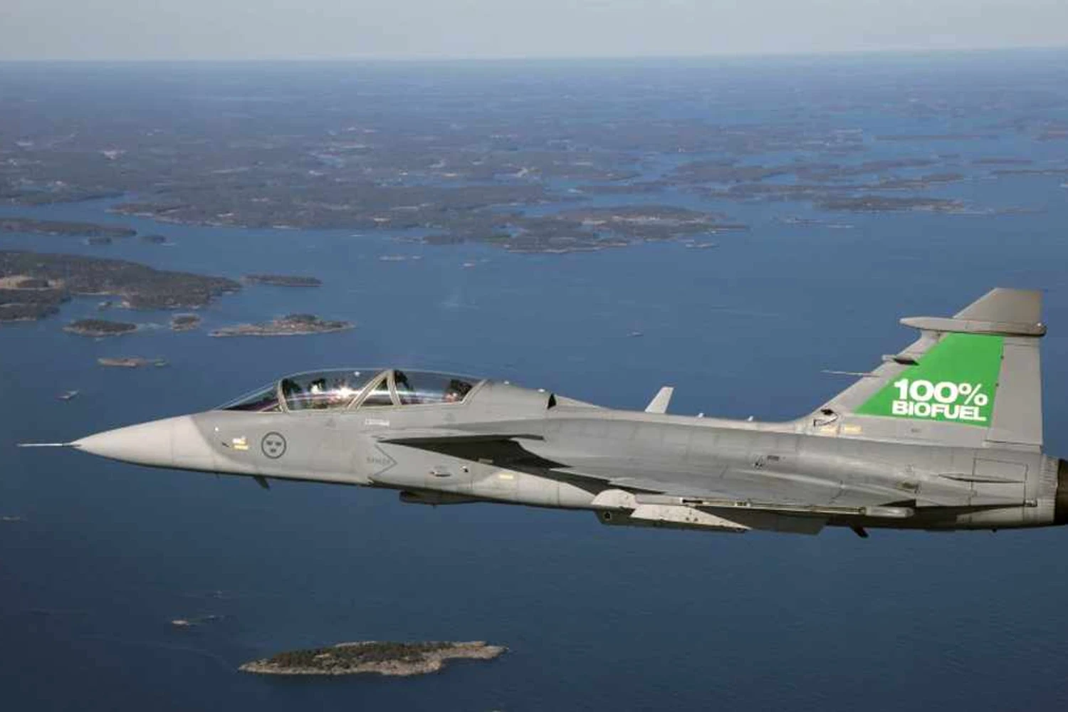 Gripen completa voo abastecido com biocombustível