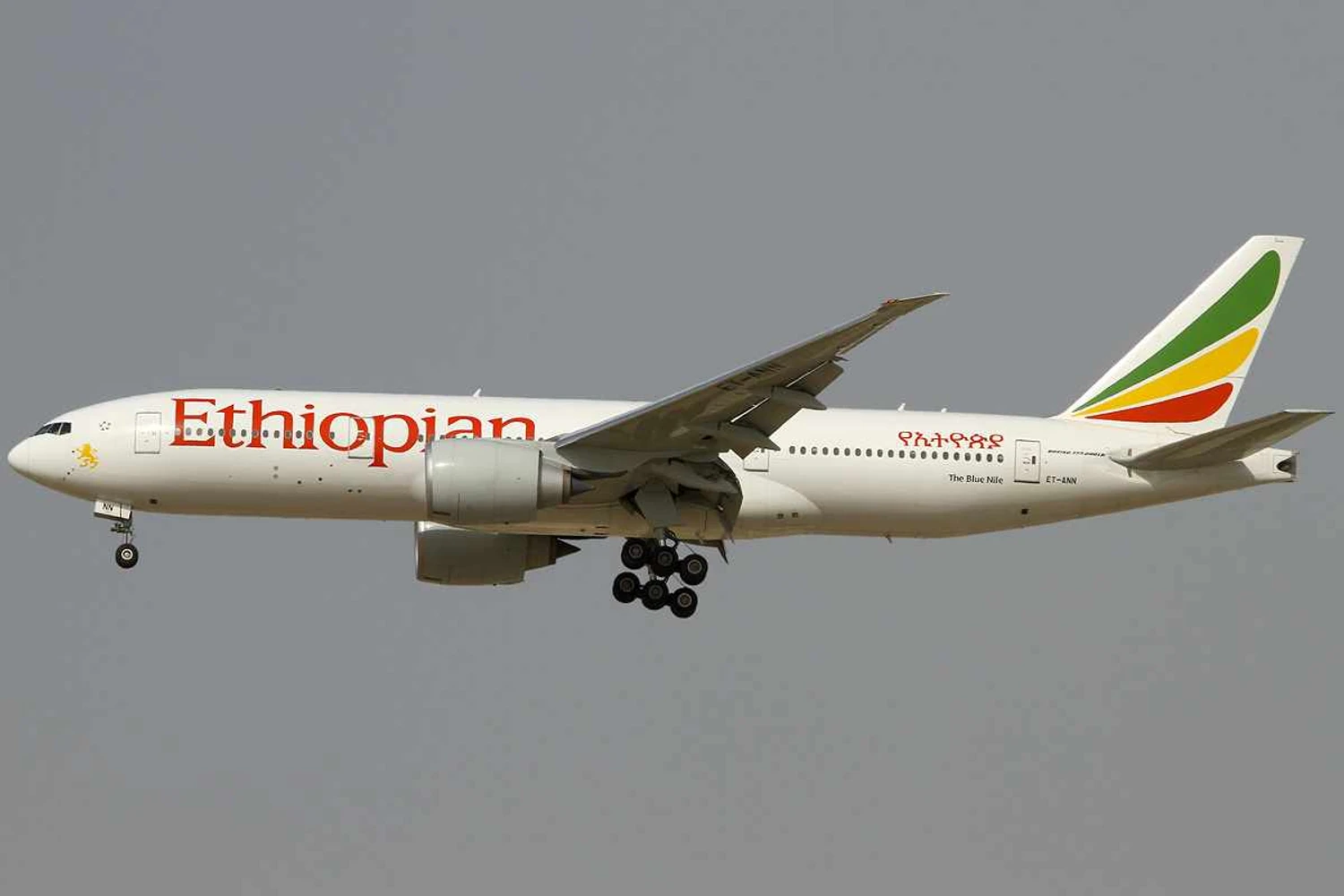 Ethiopian Airlines inicia rota diária para São Paulo