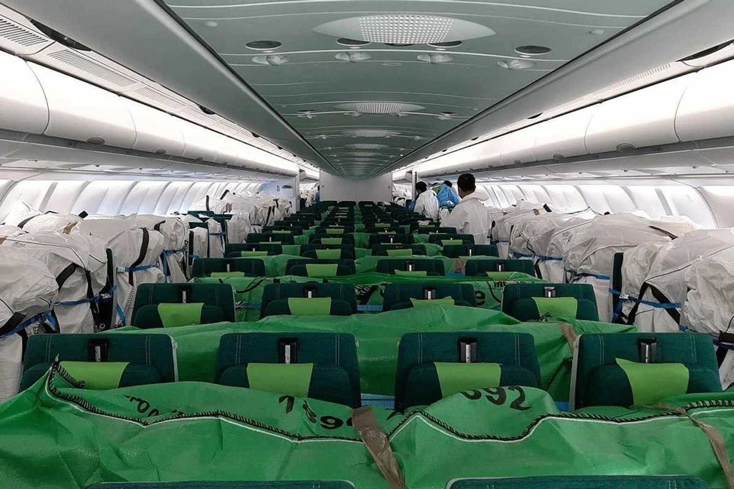 Cabine de um widebody da Aer Lingus repleta de cargas sobre os assentos (Aer Lingus)