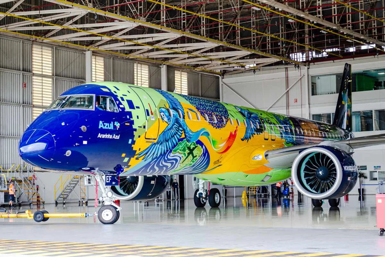 Ararinha Azul, o avião mais colorido da América do Sul