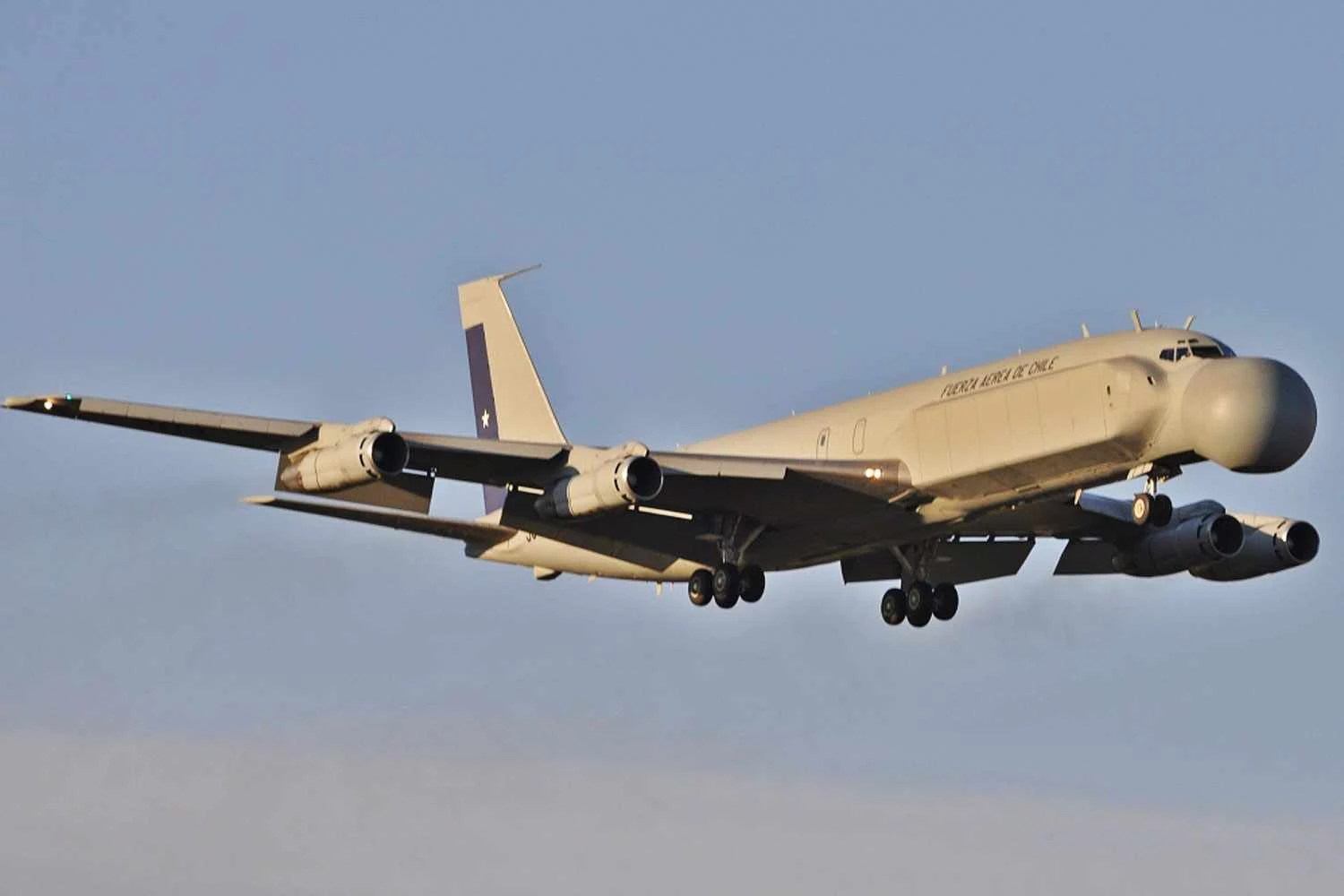 O EB-707 Condór da Força Aérea do Chile (Hippocamelus)