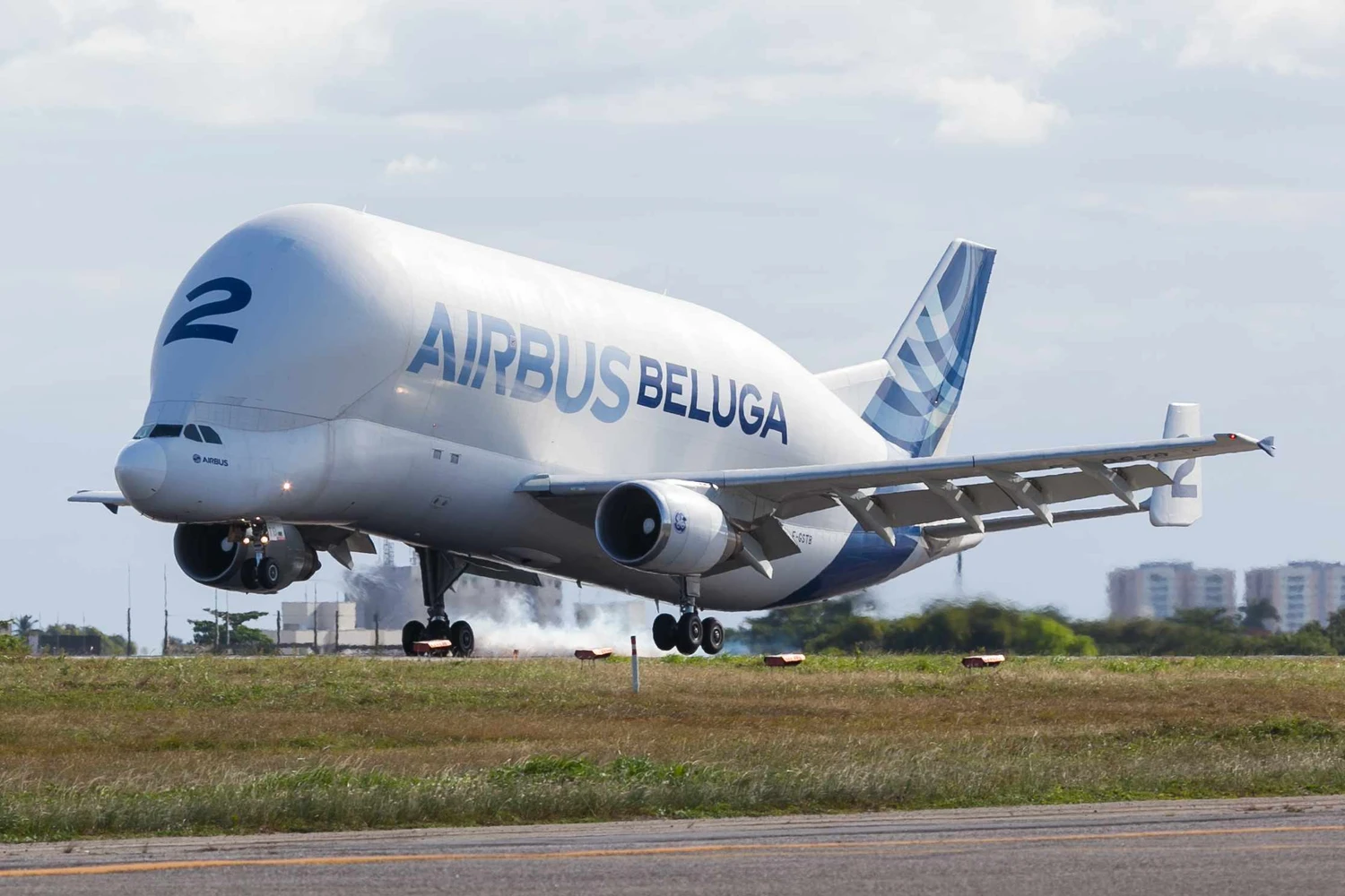 Airbus Beluga estreia no Brasil com um helicóptero na "barriga"
