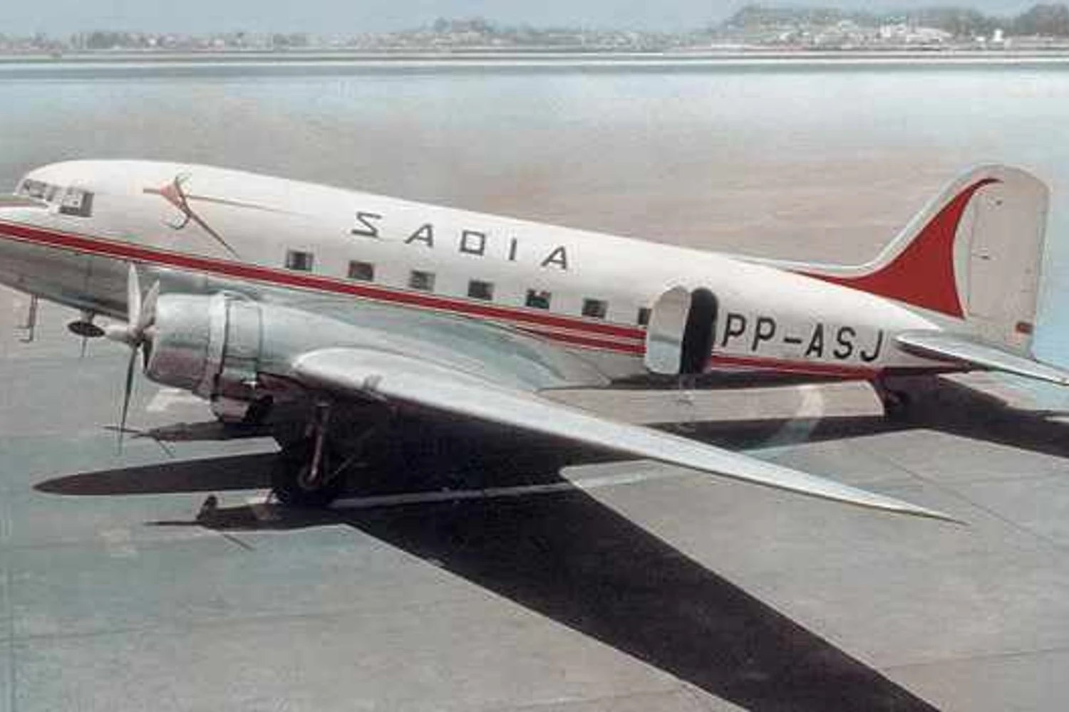 dc3sadia