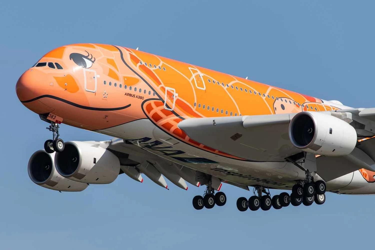 "Tartagura voadora": terceiro Airbus A380 da ANA estreia voo comercial dois anos parado