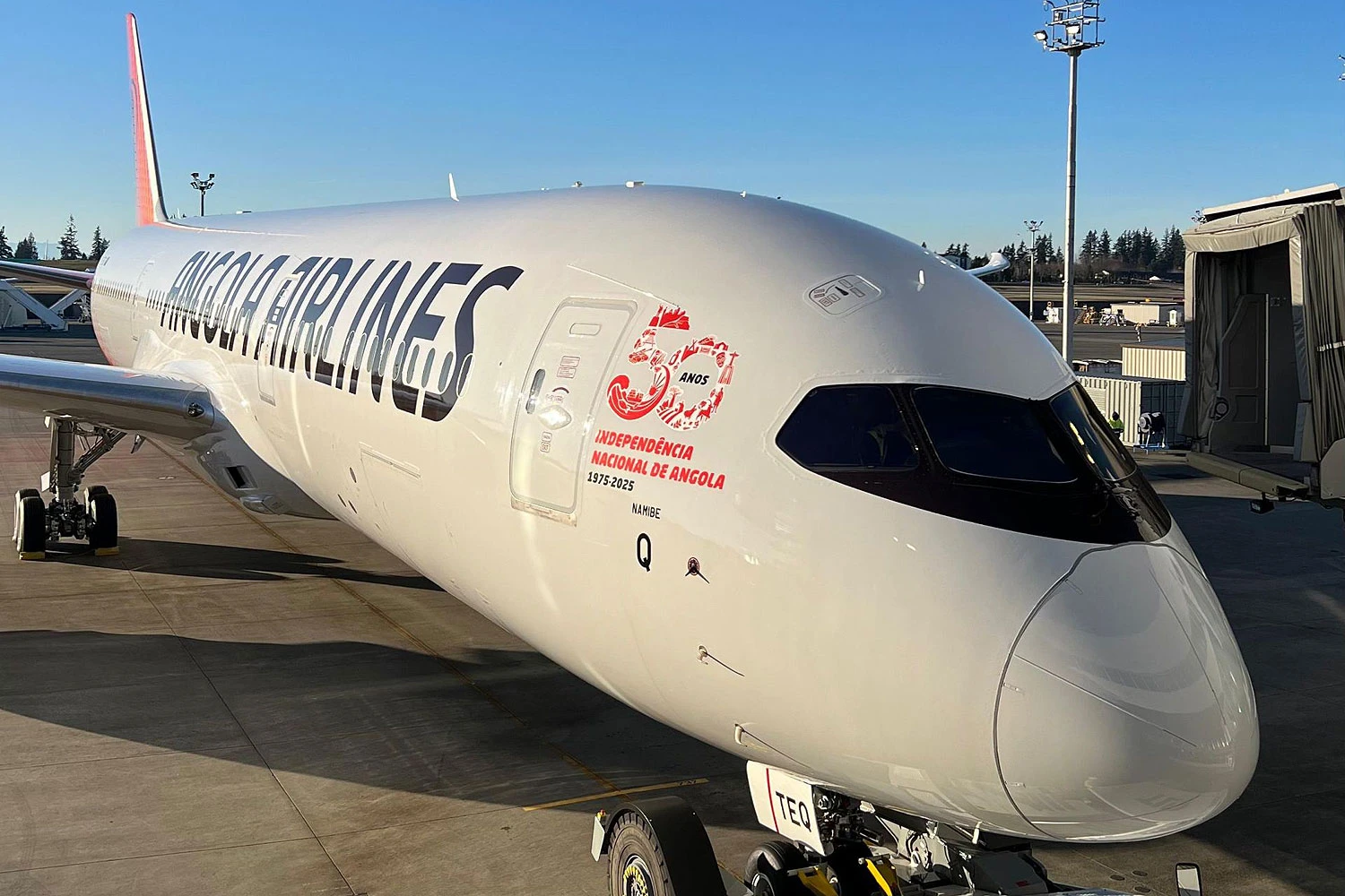 Após 2024 ruim, Boeing entregou 45 jatos comerciais em janeiro