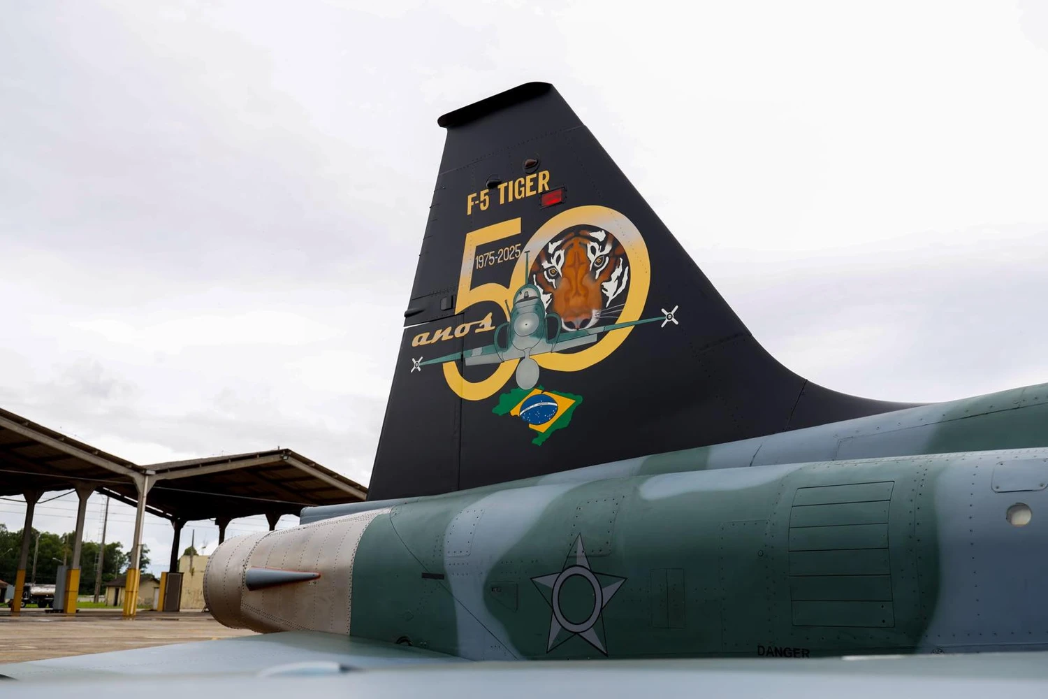 Deriva comemorativa dos 50 anos do F-5 na FAB (Reprodução)