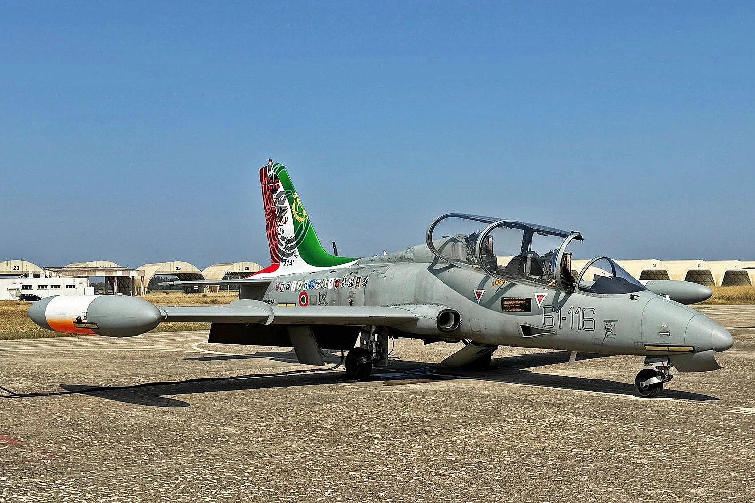 Um MB-339A com pintura comemorativa (Leonardo)