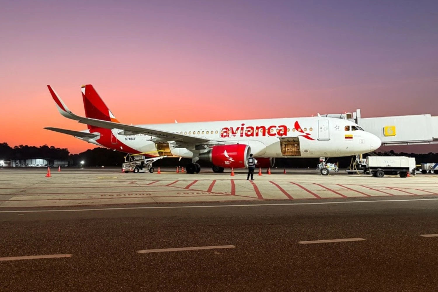 Avianca nomeia Gabriel Oliva como novo presidente do grupo