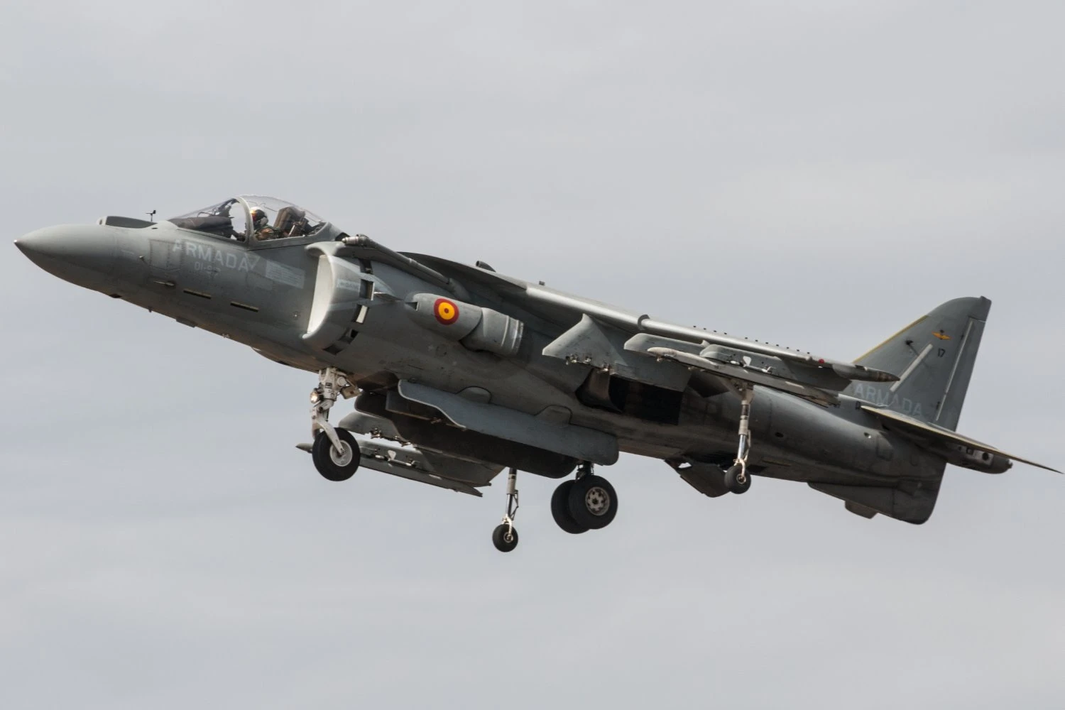 AV-8B Harrier II Espanhol